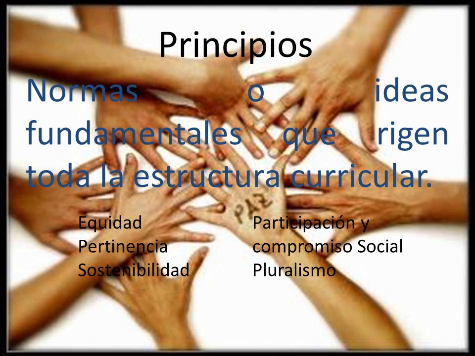 Normas o ideas fundamentales que rigen toda la estructura curricular.