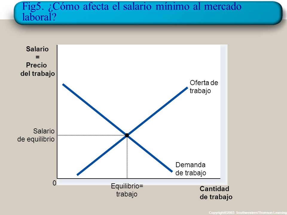 Fig5. ¿Cómo afecta el salario mínimo al mercado laboral