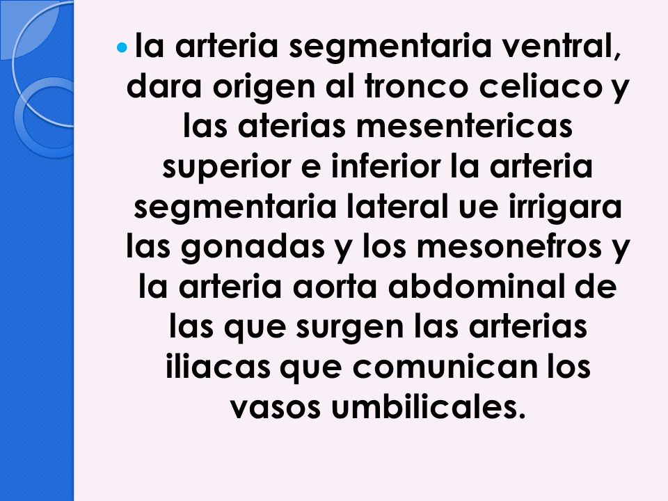 la arteria segmentaria ventral, dara origen al tronco celiaco y las aterias mesentericas superior e inferior la arteria segmentaria lateral ue irrigara las gonadas y los mesonefros y la arteria aorta abdominal de las que surgen las arterias iliacas que comunican los vasos umbilicales.