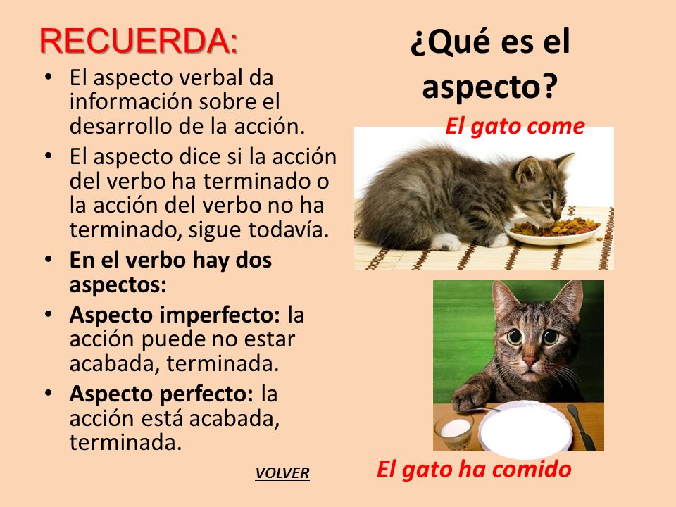 ¿Qué es el aspecto RECUERDA: El gato come El gato ha comido