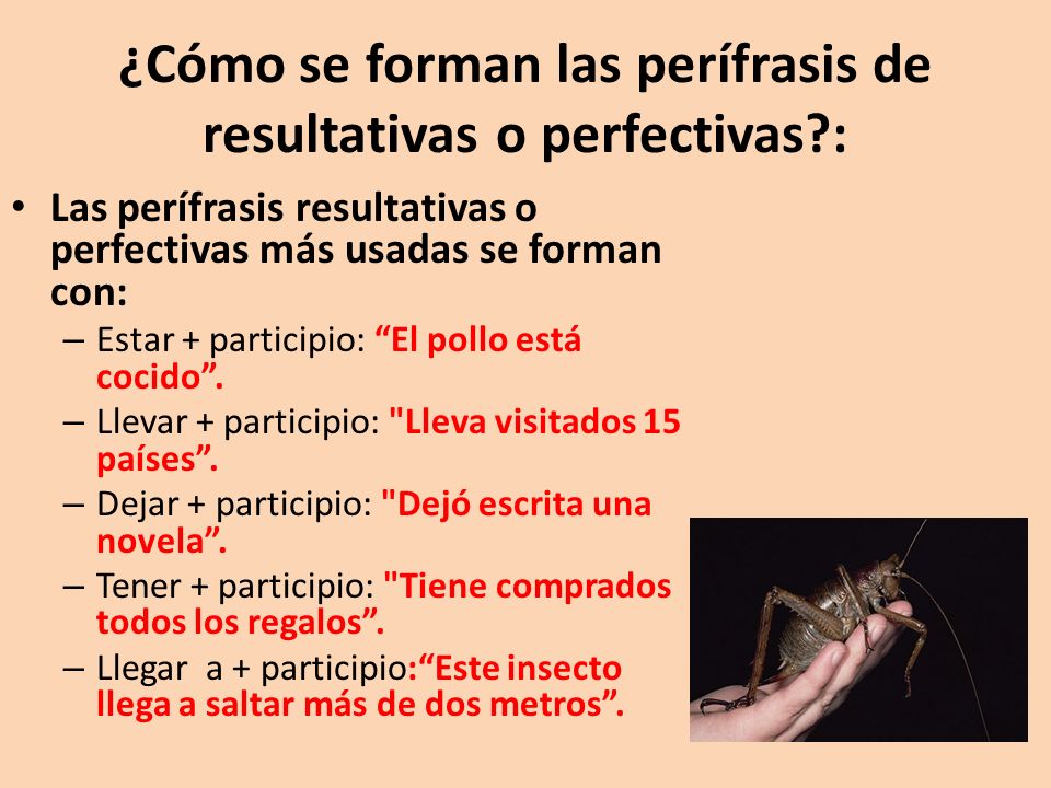 ¿Cómo se forman las perífrasis de resultativas o perfectivas :