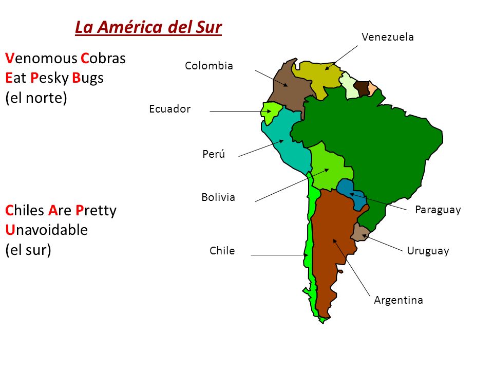 La América del Sur Venomous Cobras Eat Pesky Bugs (el norte)