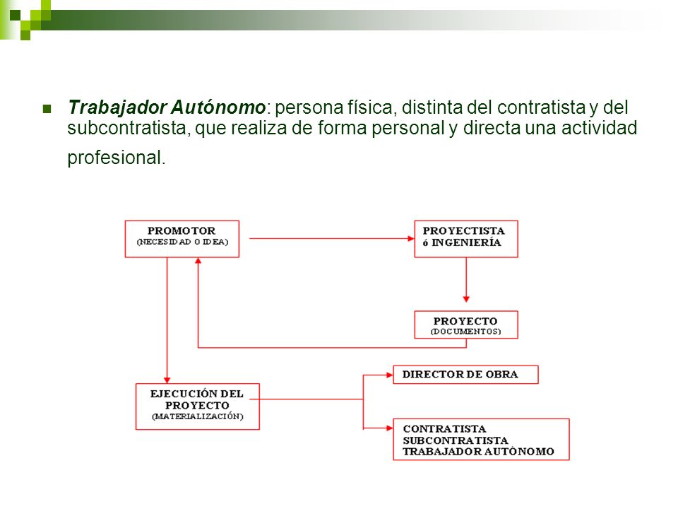 Trabajador Autónomo: persona física, distinta del contratista y del subcontratista, que realiza de forma personal y directa una actividad profesional.