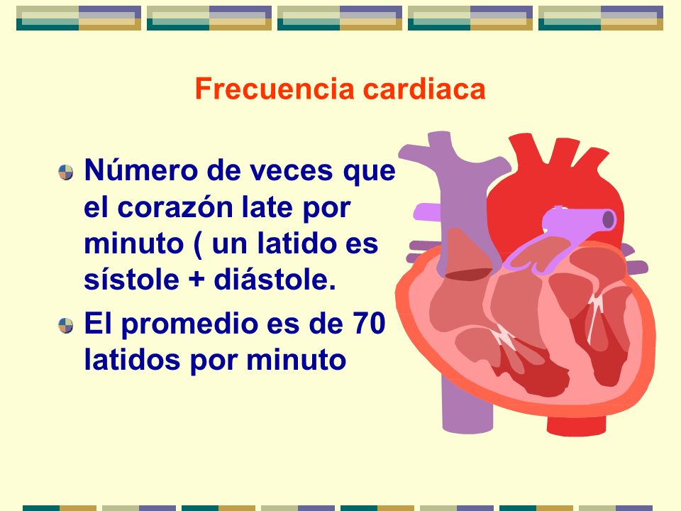 Frecuencia cardiaca Número de veces que el corazón late por minuto ( un latido es sístole + diástole.