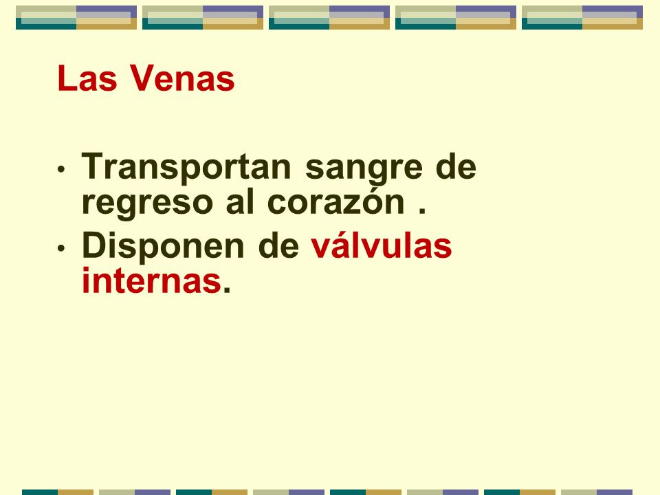 Las Venas Transportan sangre de regreso al corazón . Disponen de válvulas internas.