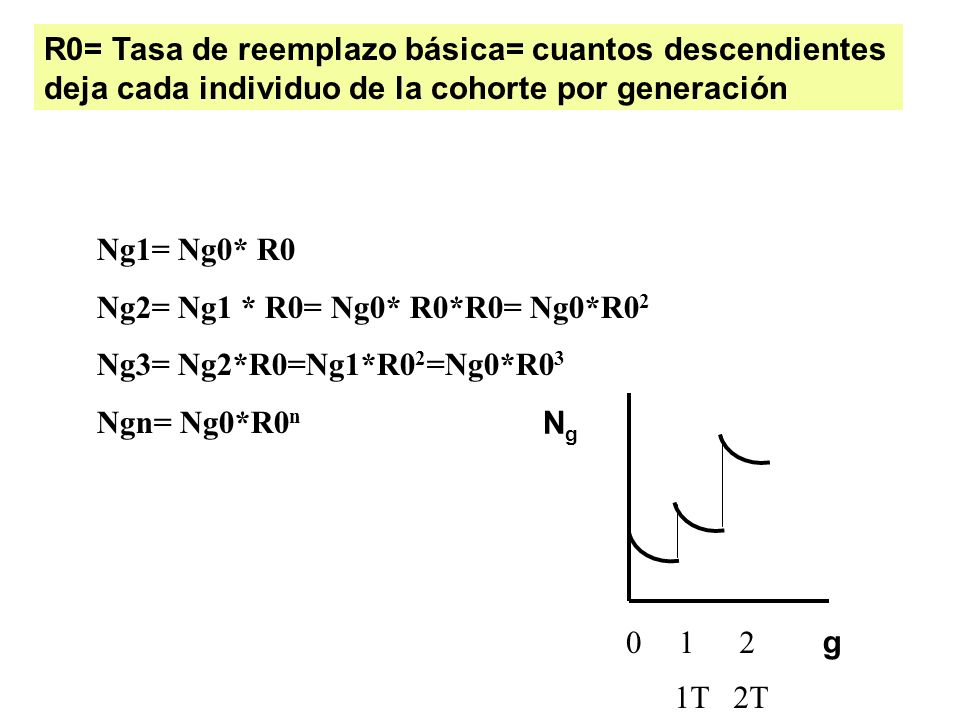 R0= Tasa de reemplazo básica= cuantos descendientes deja cada individuo de la cohorte por generación