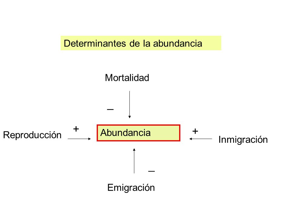 _ + + _ Determinantes de la abundancia Mortalidad Abundancia