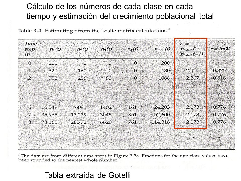 Cálculo de los números de cada clase en cada tiempo y estimación del crecimiento poblacional total