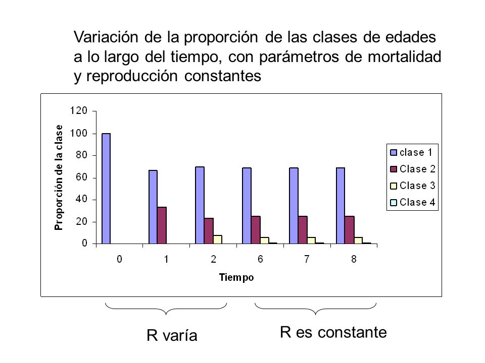 Variación de la proporción de las clases de edades a lo largo del tiempo, con parámetros de mortalidad y reproducción constantes