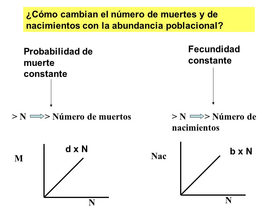 ¿Cómo cambian el número de muertes y de nacimientos con la abundancia poblacional