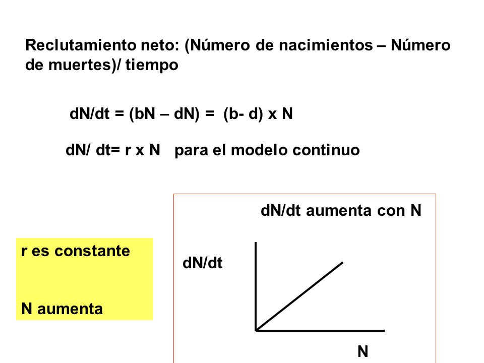 Reclutamiento neto: (Número de nacimientos – Número de muertes)/ tiempo