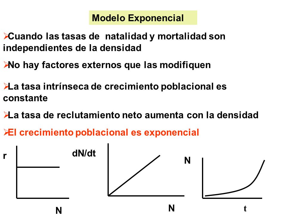 Modelo Exponencial Cuando las tasas de natalidad y mortalidad son independientes de la densidad. No hay factores externos que las modifiquen.