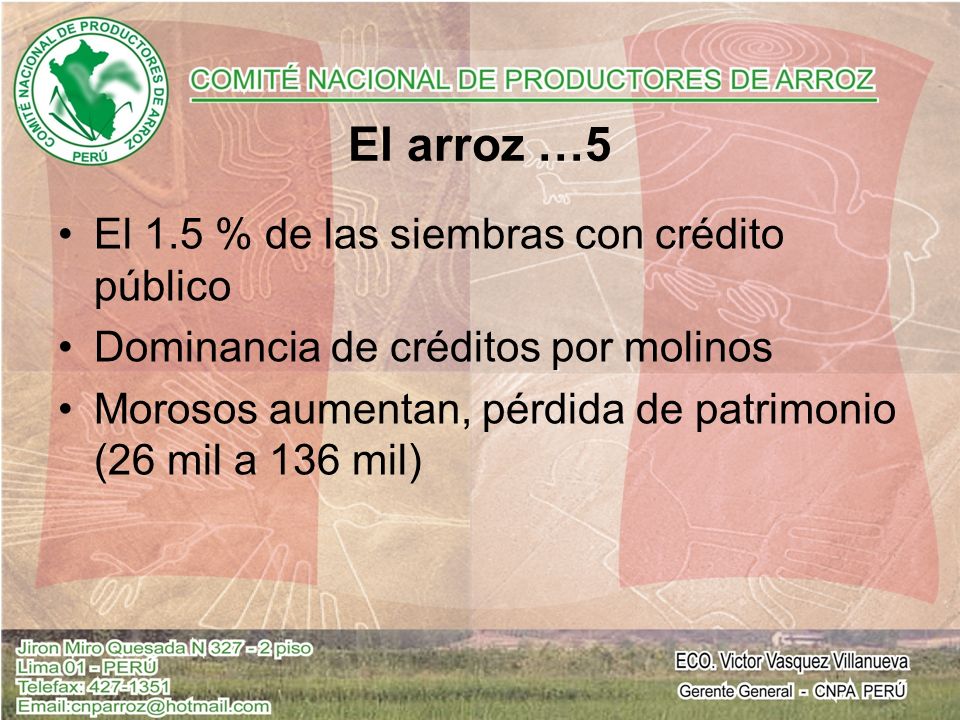 El arroz …5 El 1.5 % de las siembras con crédito público