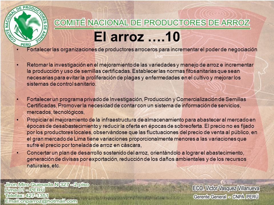 El arroz ….10 Fortalecer las organizaciones de productores arroceros para incrementar el poder de negociación.