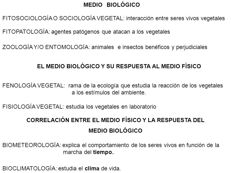 CORRELACIÓN ENTRE EL MEDIO FÍSICO Y LA RESPUESTA DEL