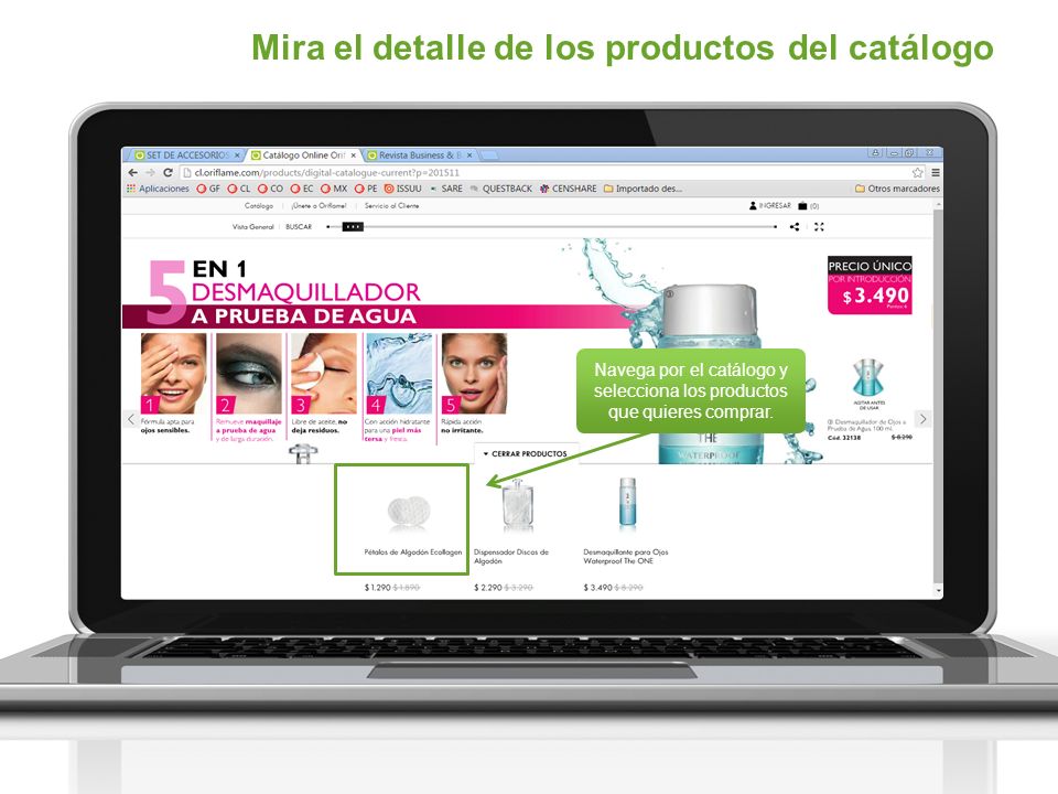 Navega por el catálogo y selecciona los productos