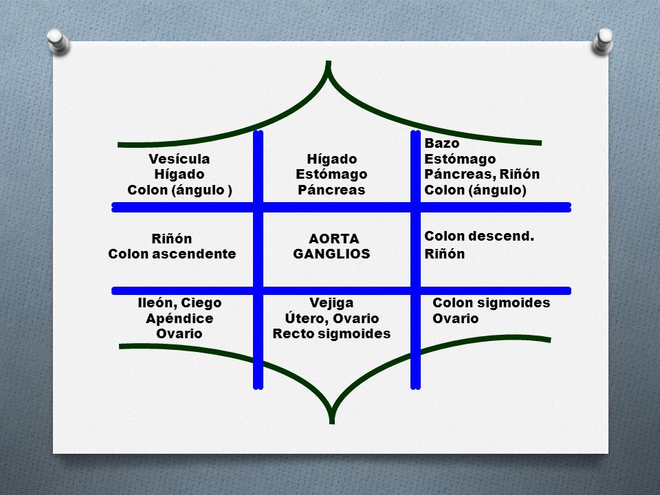 Colon sigmoides Ovario. Vejiga. Útero, Ovario. Recto sigmoides. Ileón, Ciego. Apéndice. Riñón.