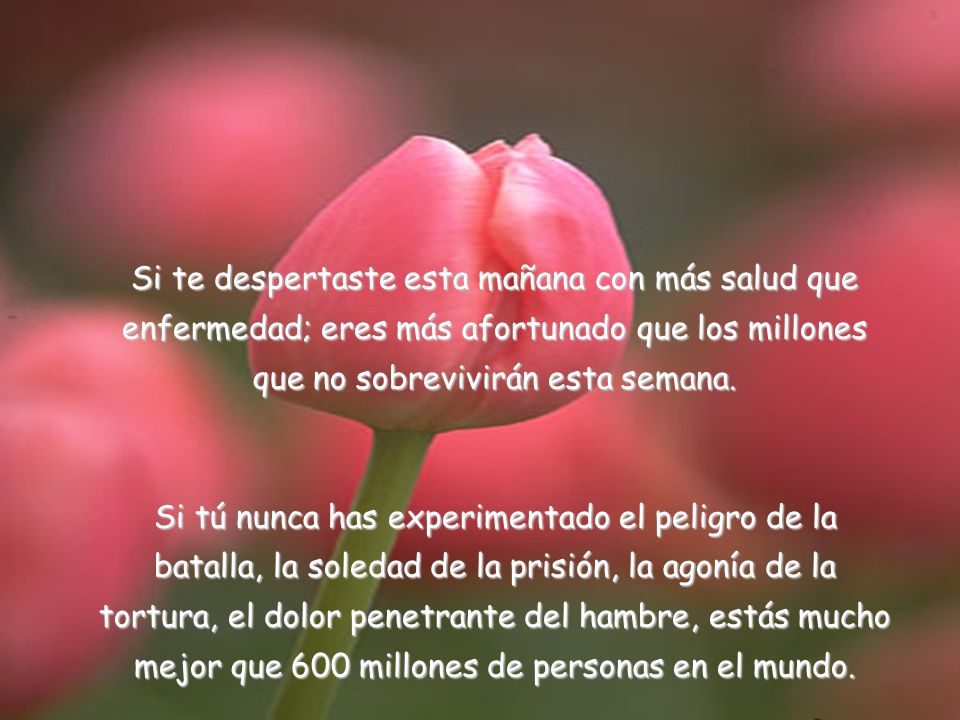 Si te despertaste esta mañana con más salud que enfermedad; eres más afortunado que los millones que no sobrevivirán esta semana.