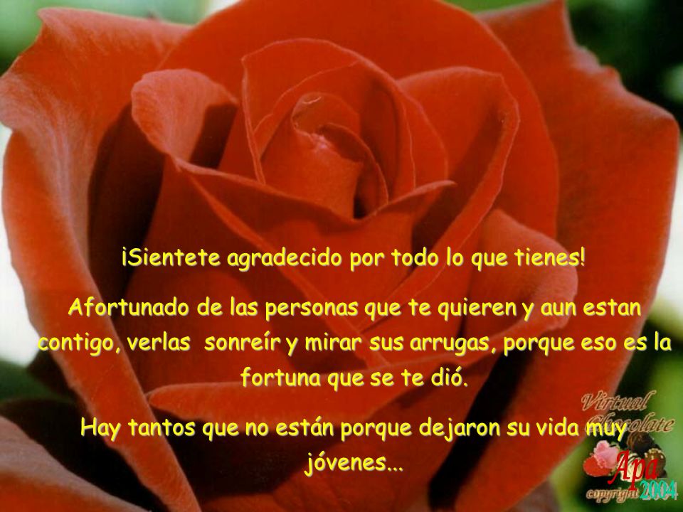 Apa 2004 ¡Sientete agradecido por todo lo que tienes!