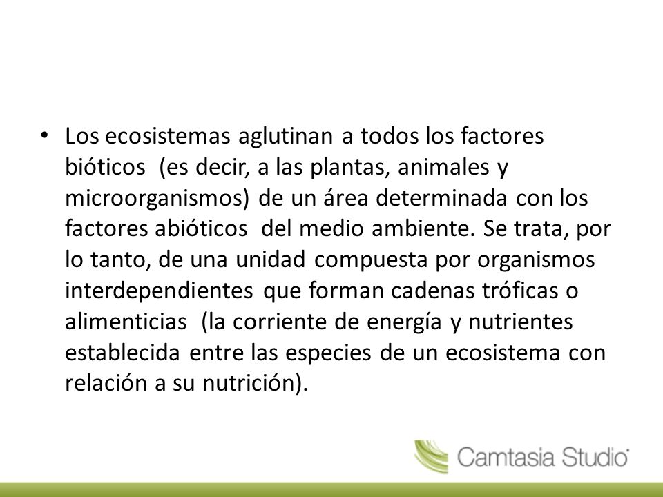Los ecosistemas aglutinan a todos los factores bióticos (es decir, a las plantas, animales y microorganismos) de un área determinada con los factores abióticos del medio ambiente.