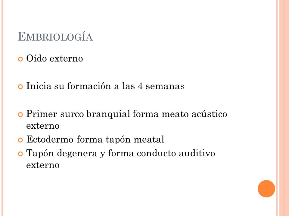 Embriología Oído externo Inicia su formación a las 4 semanas