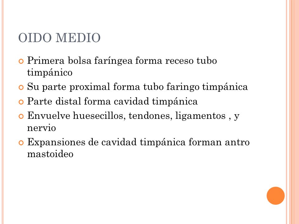 OIDO MEDIO Primera bolsa faríngea forma receso tubo timpánico