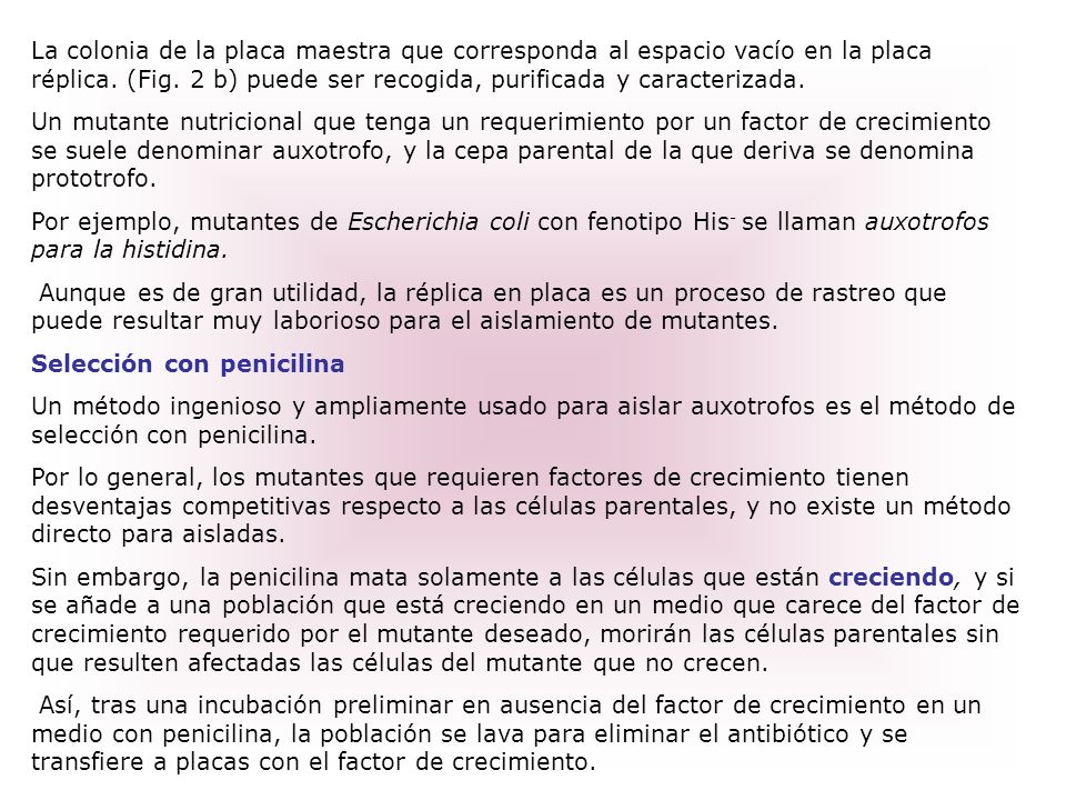 La colonia de la placa maestra que corresponda al espacio vacío en la placa réplica. (Fig. 2 b) puede ser recogida, purificada y caracterizada.