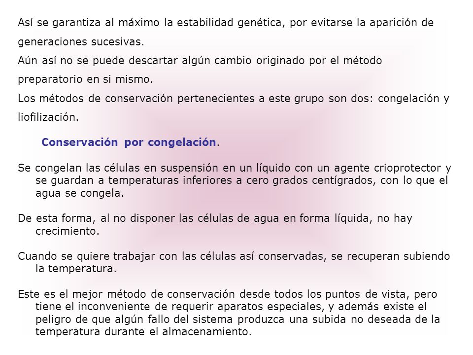 Así se garantiza al máximo la estabilidad genética, por evitarse la aparición de
