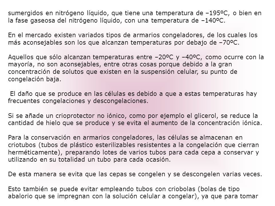 sumergidos en nitrógeno líquido, que tiene una temperatura de –195ºC, o bien en la fase gaseosa del nitrógeno líquido, con una temperatura de –140ºC.