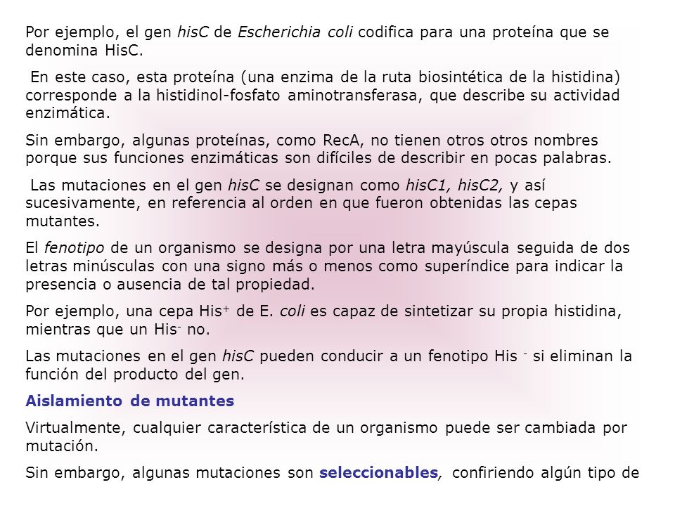 Por ejemplo, el gen hisC de Escherichia coli codifica para una proteína que se denomina HisC.