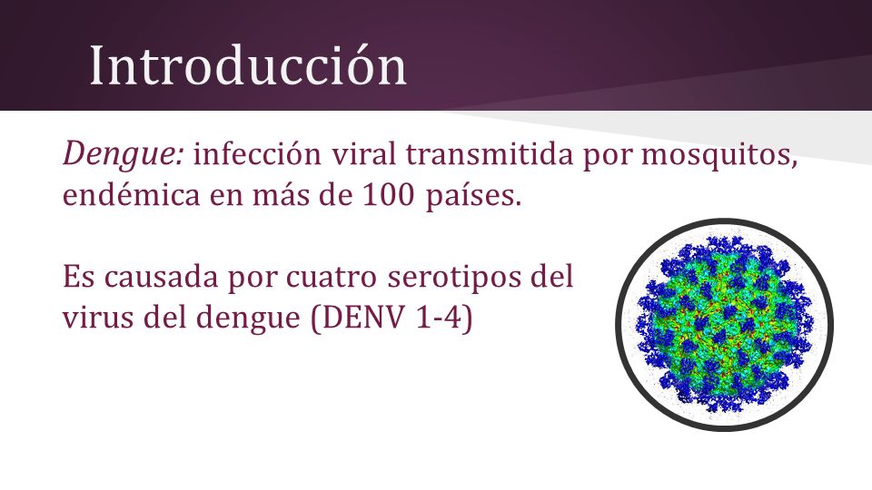 Introducción Dengue: infección viral transmitida por mosquitos, endémica en más de 100 países. Es causada por cuatro serotipos del.