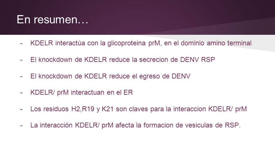 En resumen… KDELR interactúa con la glicoproteina prM, en el dominio amino terminal. El knockdown de KDELR reduce la secrecion de DENV RSP.