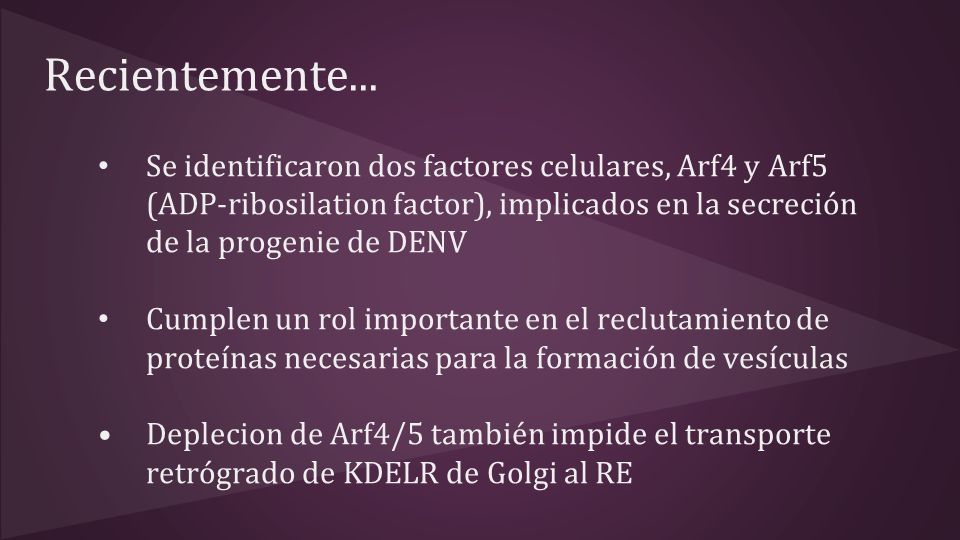 Recientemente... Se identificaron dos factores celulares, Arf4 y Arf5 (ADP-ribosilation factor), implicados en la secreción de la progenie de DENV.