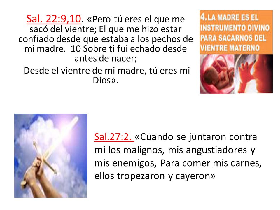 Desde el vientre de mi madre, tú eres mi Dios».