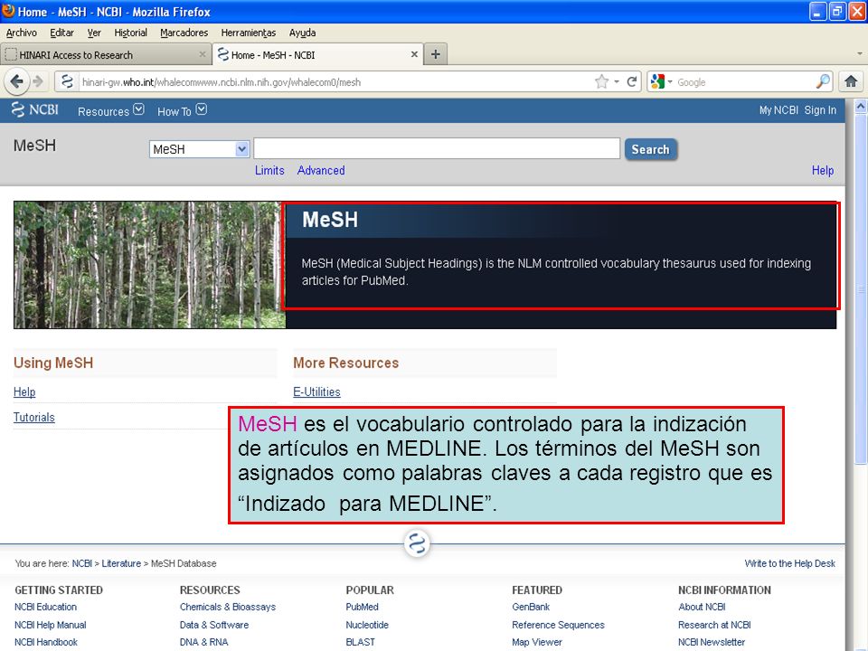 MeSH es el vocabulario controlado para la indización de artículos en MEDLINE. Los términos del MeSH son asignados como palabras claves a cada registro que es Indizado para MEDLINE .