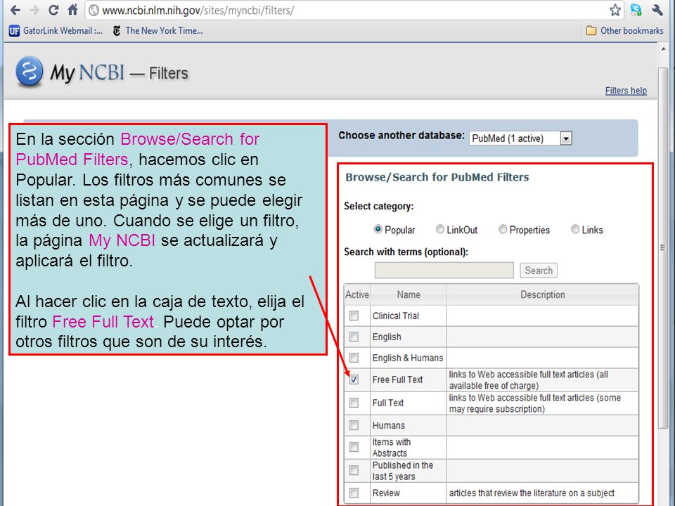 En la sección Browse/Search for PubMed Filters, hacemos clic en Popular.