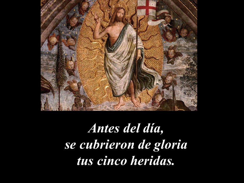 Antes del día, se cubrieron de gloria tus cinco heridas.