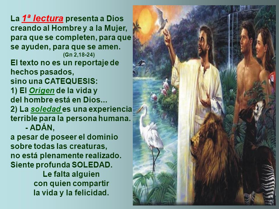 Le falta alguien con quien compartir la vida y la felicidad.