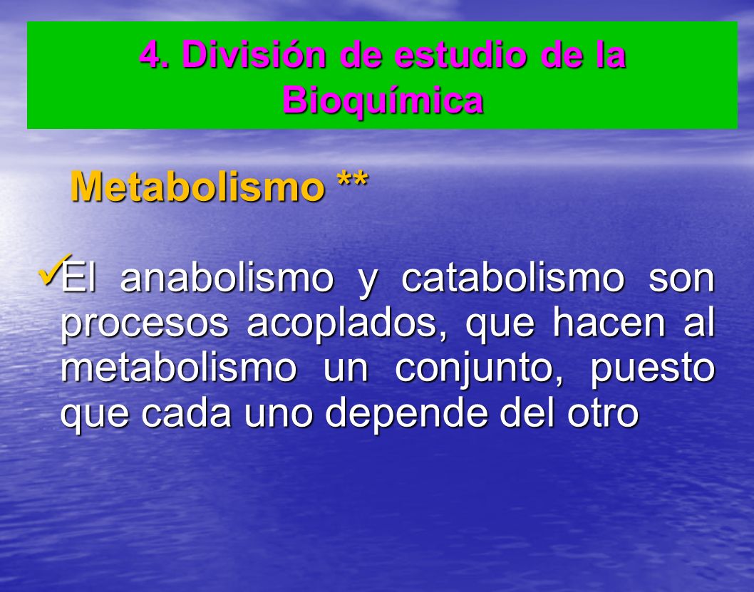 4. División de estudio de la Bioquímica
