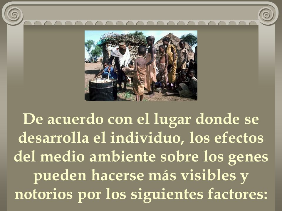 De acuerdo con el lugar donde se desarrolla el individuo, los efectos del medio ambiente sobre los genes pueden hacerse más visibles y notorios por los siguientes factores: