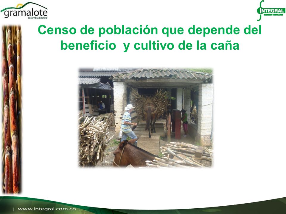 Censo de población que depende del beneficio y cultivo de la caña