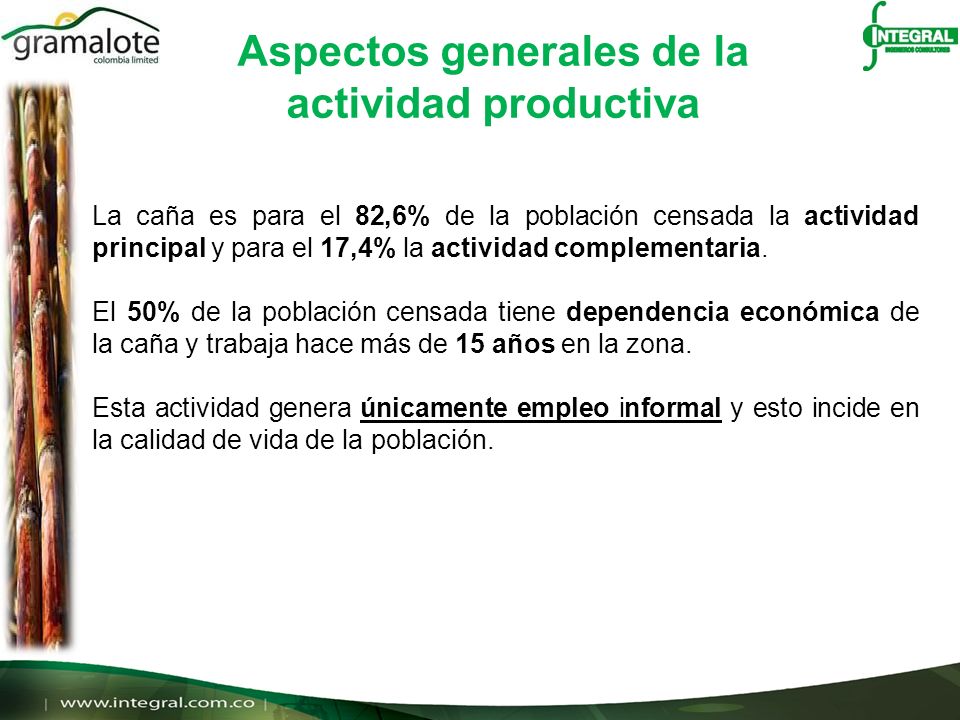 Aspectos generales de la actividad productiva