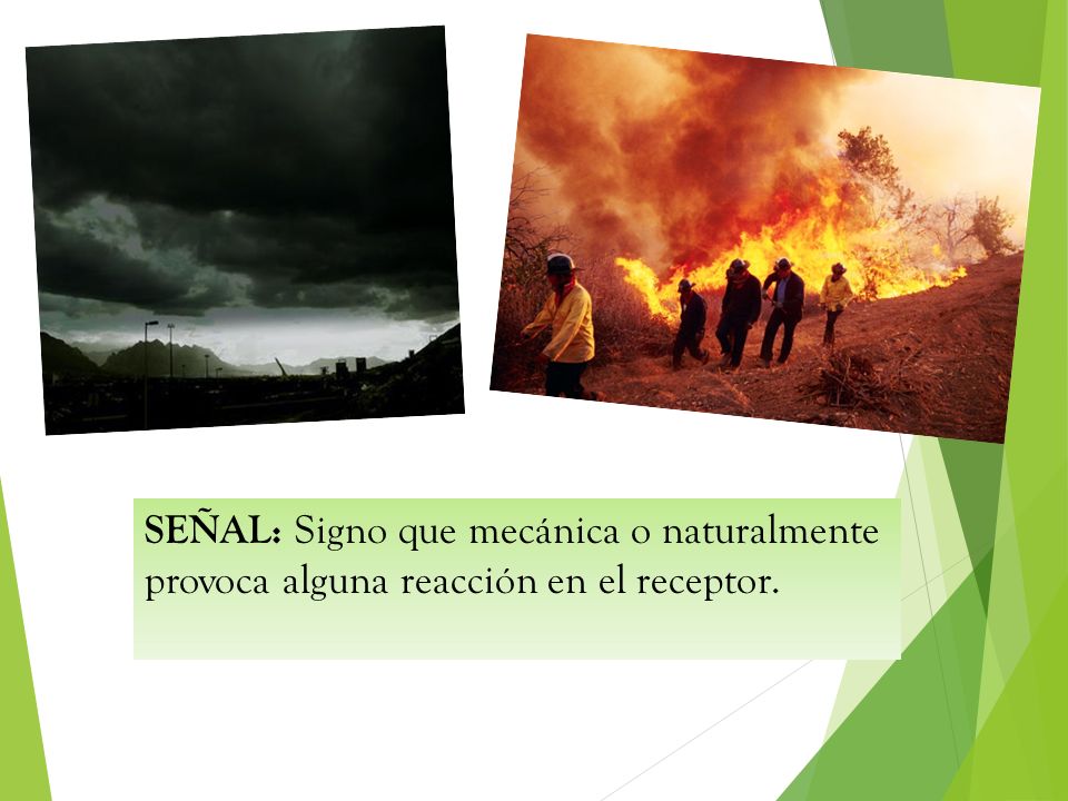 SEÑAL: Signo que mecánica o naturalmente provoca alguna reacción en el receptor.