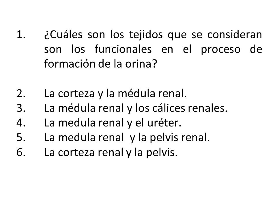 ¿Cuáles son los tejidos que se consideran son los funcionales en el proceso de formación de la orina