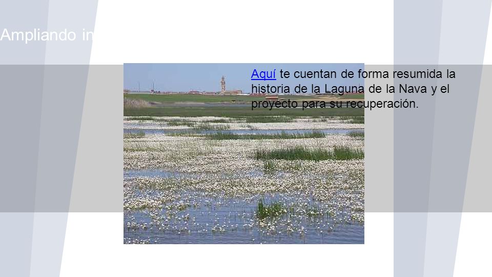 Ampliando información (3)