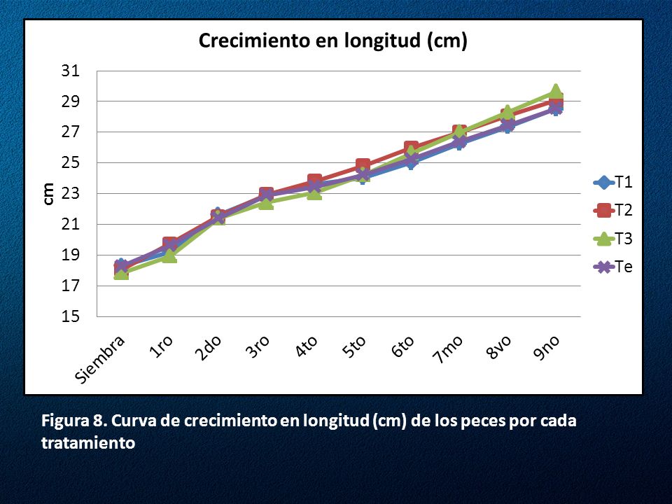 Figura 8. Curva de crecimiento en longitud (cm) de los peces por cada tratamiento