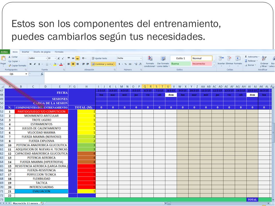 Estos son los componentes del entrenamiento, puedes cambiarlos según tus necesidades.