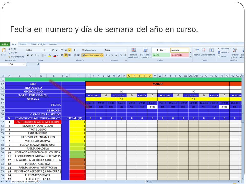 Fecha en numero y día de semana del año en curso.