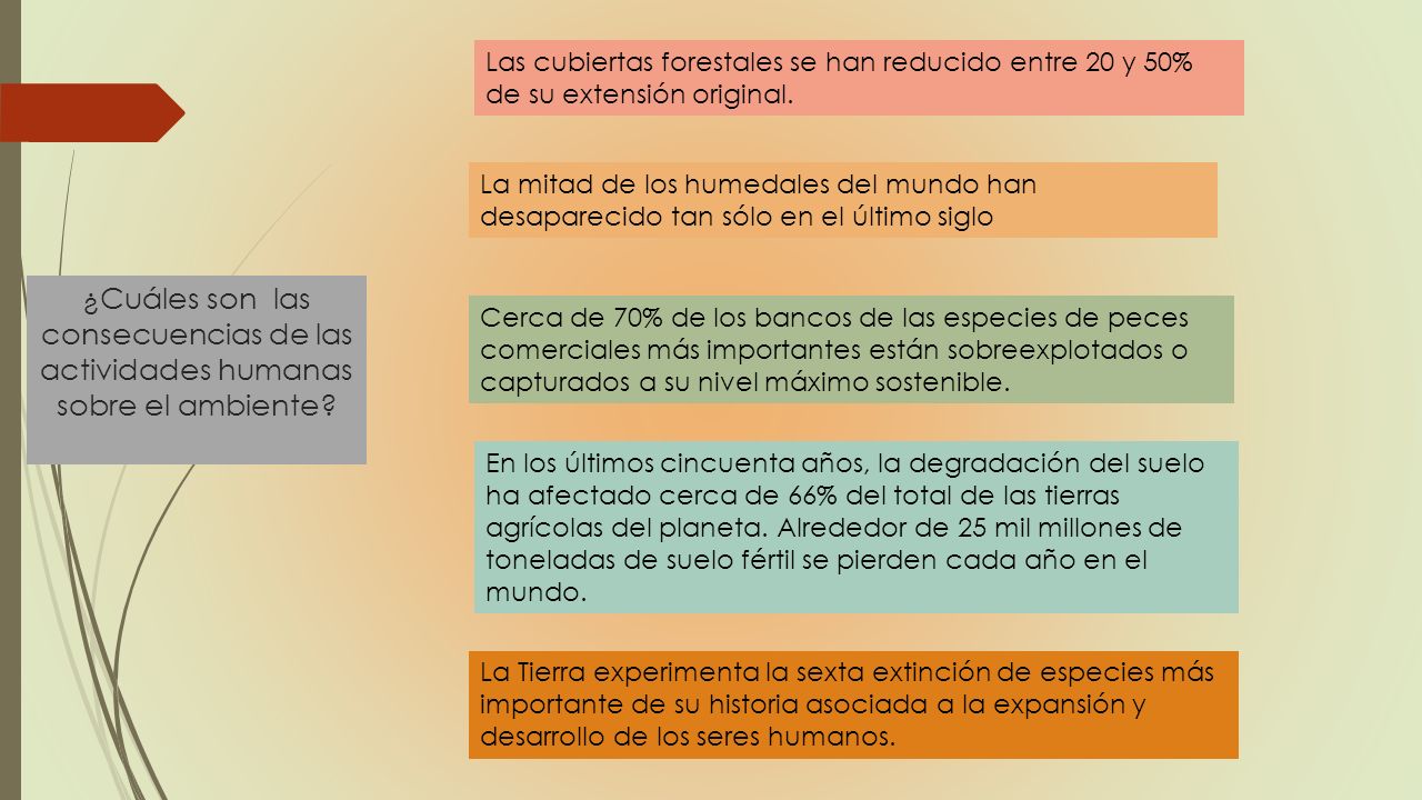 Las cubiertas forestales se han reducido entre 20 y 50% de su extensión original.