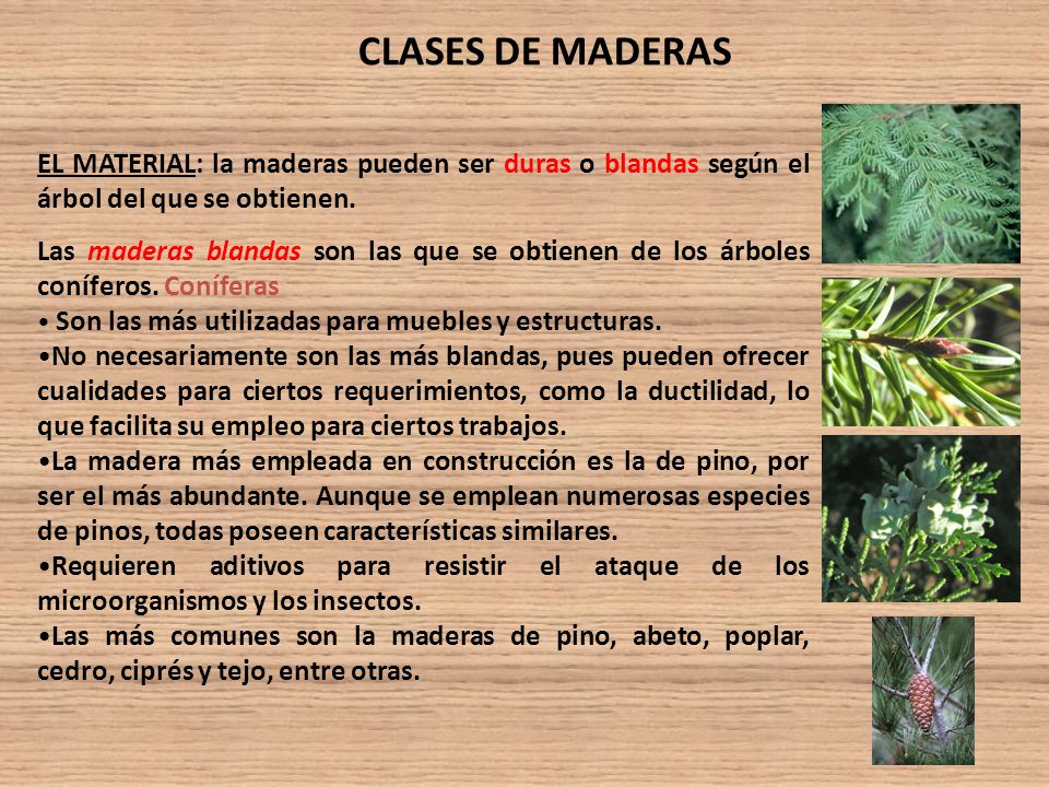 CLASES DE MADERAS EL MATERIAL: la maderas pueden ser duras o blandas según el árbol del que se obtienen.